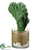 Coral Cactus - Green - Pack of 4