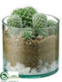 Silk Plants Direct Hedgehog Cactus - Green - Pack of 2