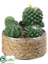 Silk Plants Direct Cactus - Green - Pack of 4