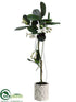 Silk Plants Direct Stephanotis Topiary - White - Pack of 1