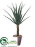 Silk Plants Direct Agave Plant - Green - Pack of 1