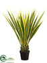 Silk Plants Direct Agave Plant - Variegated - Pack of 2