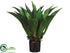 Silk Plants Direct Giant Mexican Agave - Green - Pack of 1