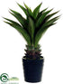 Silk Plants Direct Agave Attenuata Plant - Green - Pack of 2