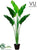 Outdoor Bird of Paradise Plant - Green - Pack of 2