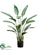 Silk Plants Direct Bird of Paradise Plant - Green - Pack of 2