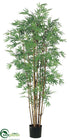 Silk Plants Direct Bamboo Tree - Green Two Tone - Pack of 2