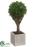 Silk Plants Direct Baby's Tear Ball Topiary - Green - Pack of 4