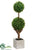 Baby's Tear Double Ball Topiary - Green - Pack of 4