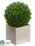 Silk Plants Direct Baby's Tear Ball Topiary - Green - Pack of 6