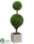 Baby's Tear Double Ball Topiary - Green - Pack of 4