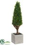 Silk Plants Direct Baby's Tear Cone Topiary - Green - Pack of 4