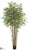 Bamboo Tree - Green Two Tone - Pack of 2