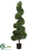 Boxwood Spiral Topiary - Green Two Tone - Pack of 1