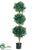 Triple Ball Sweet Bay Topiary - Green - Pack of 1