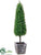 Boxwood Cone Topiary - Green - Pack of 1