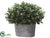 Silk Plants Direct Boxwood Ball Topiary - Green - Pack of 1