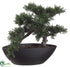 Silk Plants Direct Cedar Bonsai Tree - Green - Pack of 4
