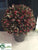 Italian Bay Leaf Ball Topiary - Green Burgundy - Pack of 2