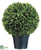 Italian Bay Leaf Ball Topiary - Green - Pack of 2