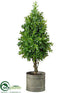 Silk Plants Direct Boxwood Cone Topiary - Green - Pack of 2