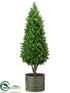 Silk Plants Direct Boxwood Cone Topiary - Green - Pack of 1