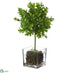 Silk Plants Direct Boxwood Topiary - Green - Pack of 6