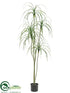 Silk Plants Direct Beaucarnea Plant - Green - Pack of 2