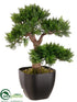 Silk Plants Direct Cedar Bonsai Tree - Green - Pack of 6