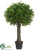 Boxwood Ball Topiary - Green - Pack of 2