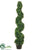 Boxwood Spiral Topiary - Green - Pack of 1