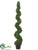 Boxwood Spiral Topiary - Green - Pack of 1