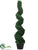 Boxwood Spiral Topiary - Green Dark - Pack of 2
