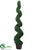 Boxwood Spiral Topiary - Green Dark - Pack of 1