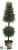 Baby's Tear Ball Cone Topiary - Green - Pack of 6