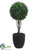 Boxwood Ball Topiary - Green - Pack of 4
