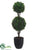 Boxwood Double Ball Topiary - Green - Pack of 2