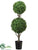 Boxwood Two Ball Topiary - Green - Pack of 1