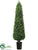 Boxwood Cone Topiary - Green - Pack of 1