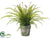 Silk Plants Direct Boston Fern - Green - Pack of 2