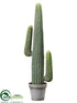 Silk Plants Direct Cactus - Green - Pack of 1