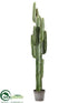 Silk Plants Direct Cactus Plant - Green - Pack of 1