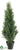 Cedar Topiary Cone - Green - Pack of 4