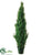 Cedar Topiary - Green - Pack of 1