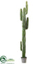 Silk Plants Direct Cactus Plant - Green - Pack of 1