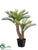 Silk Plants Direct Cycas Palm - Green - Pack of 4