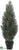 Cedar Topiary - Green - Pack of 4