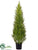 Silk Plants Direct Cedar Topiary - Green Light - Pack of 2