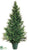 Mini Cedar Pine Topiary - Green - Pack of 1