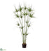 Silk Plants Direct Cyperus Papyrus Plant - Green - Pack of 2